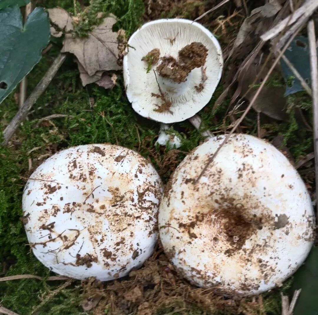 食品安全宣传周丨守护“舌尖上的安全”！这项活动开展→-小辉娱乐网