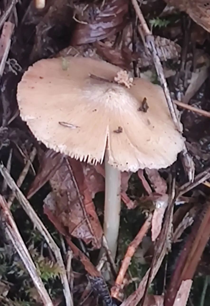 食品安全宣传周丨守护“舌尖上的安全”！这项活动开展→-小辉娱乐网