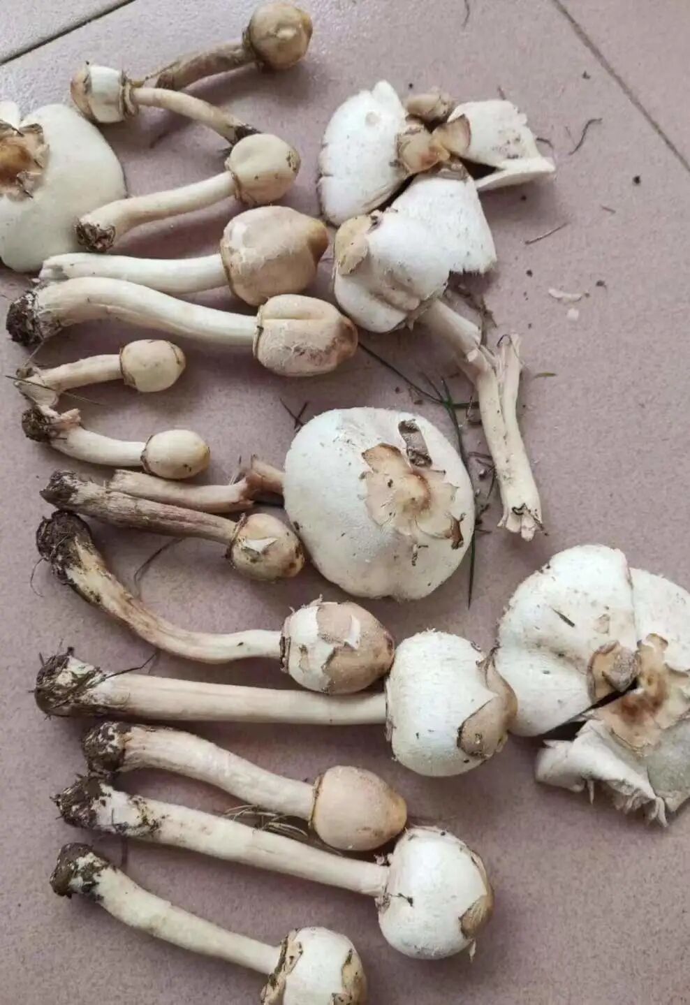 食品安全宣传周丨守护“舌尖上的安全”！这项活动开展→-小辉娱乐网