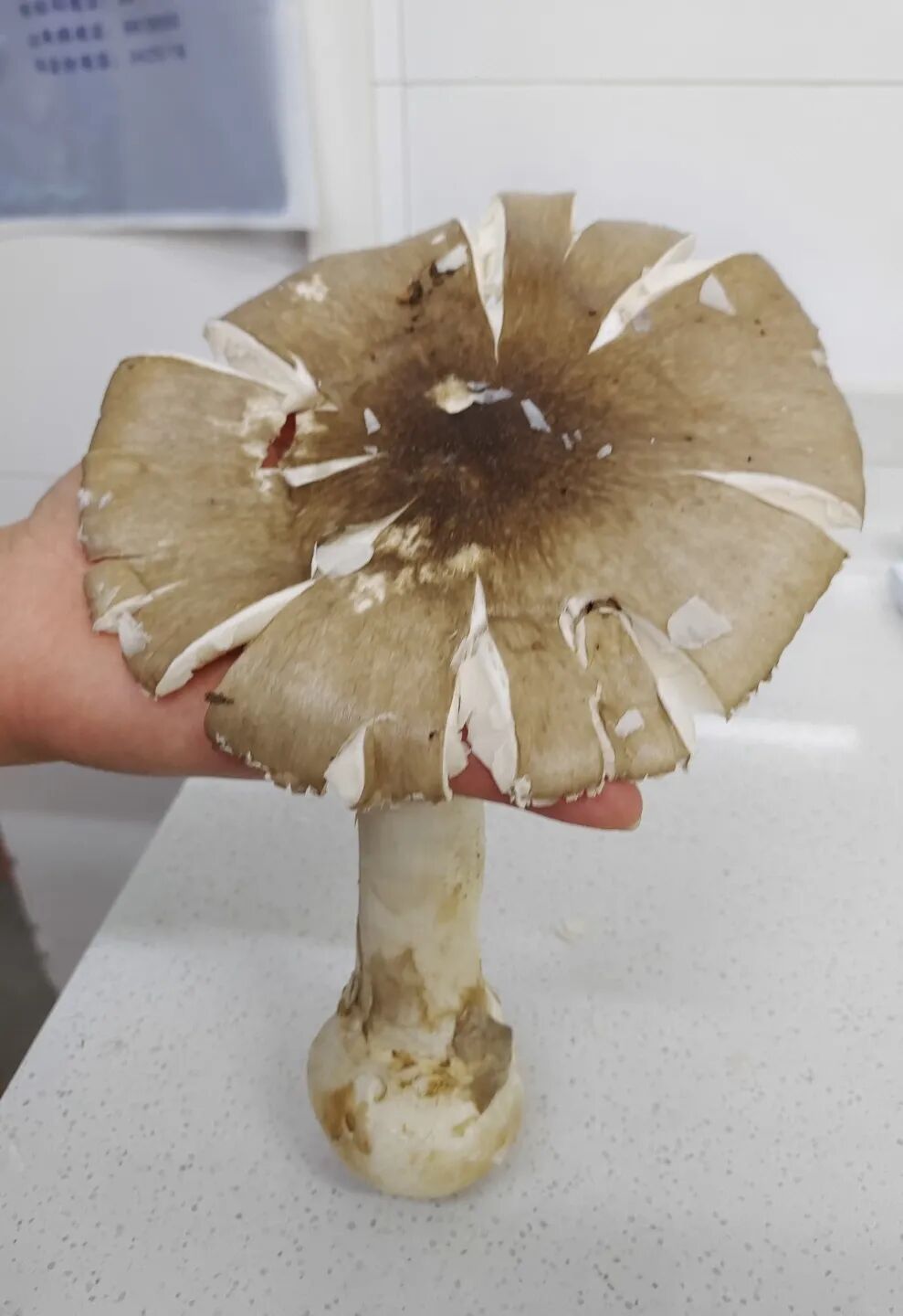 食品安全宣传周丨守护“舌尖上的安全”！这项活动开展→