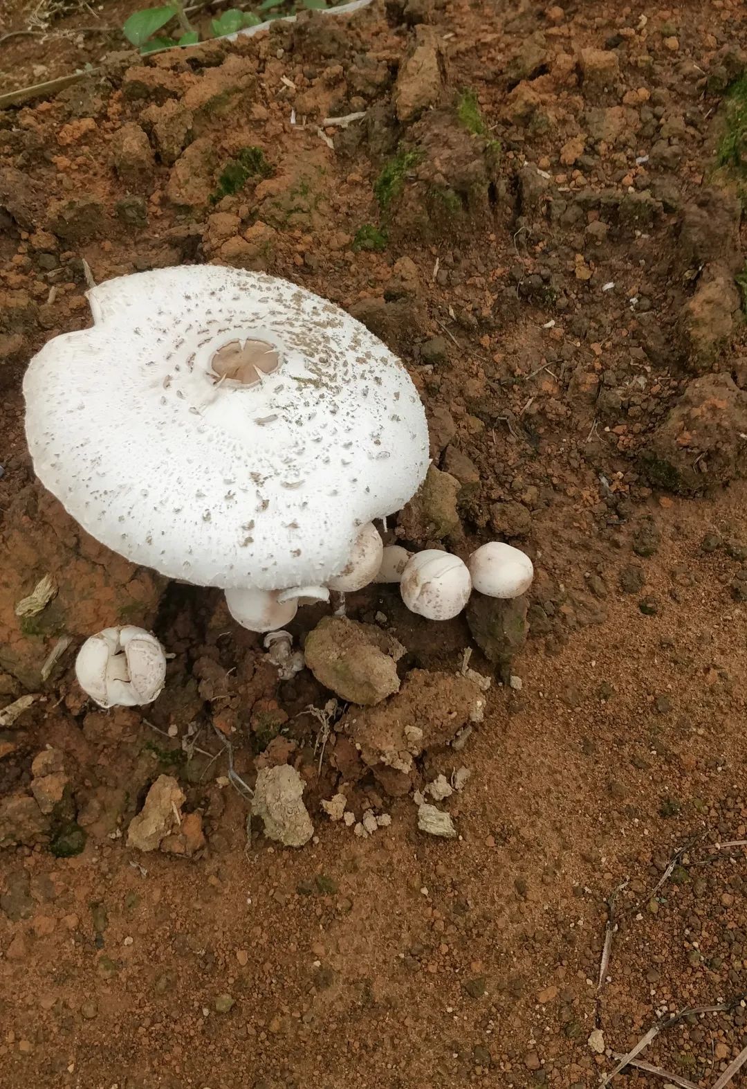 食品安全宣传周丨守护“舌尖上的安全”！这项活动开展→-小辉娱乐网