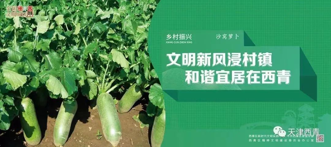 【唱响中国经济“光明论”】中国服务进出口总额同比增9%-小辉娱乐网