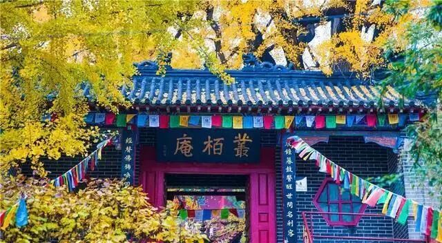 费县有一种美，叫满城尽带黄金甲-小辉娱乐网