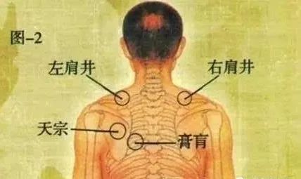 颈肩病的根治之法 ：不是正骨，而是升阳-小辉娱乐网