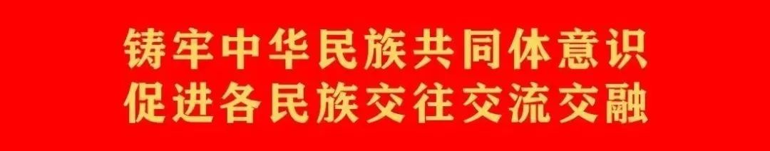 乡村振兴丨笃行书华章 沃野绘新景-小辉娱乐网