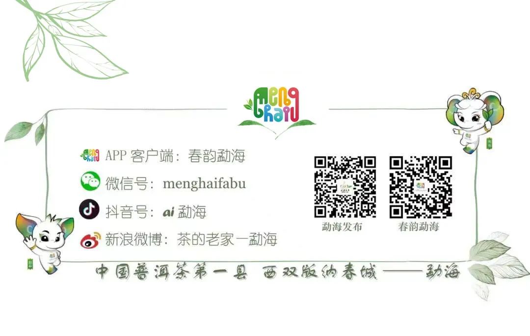 2023年“双十一”期间普洱茶商务..提示公告-小辉娱乐网