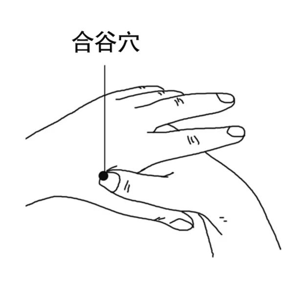 【便秘】穴位:足三里穴适用局限:老年人习惯性便秘.