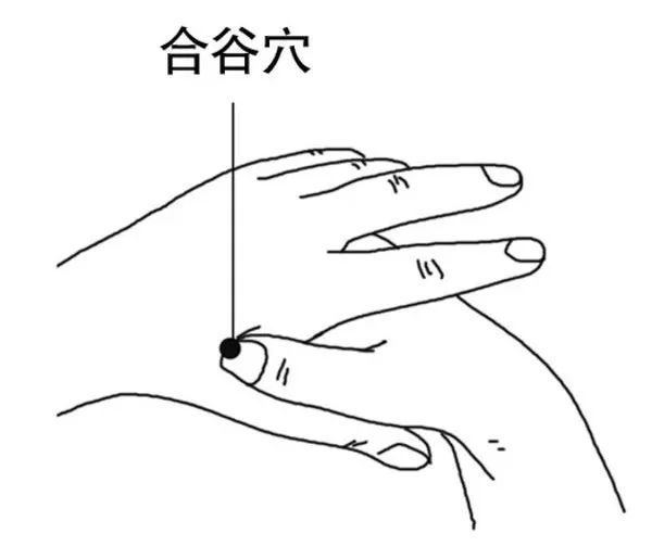 怒气胃火心火肺火肾火喝5茶按5穴哪里有火降哪里整个炎天用得上