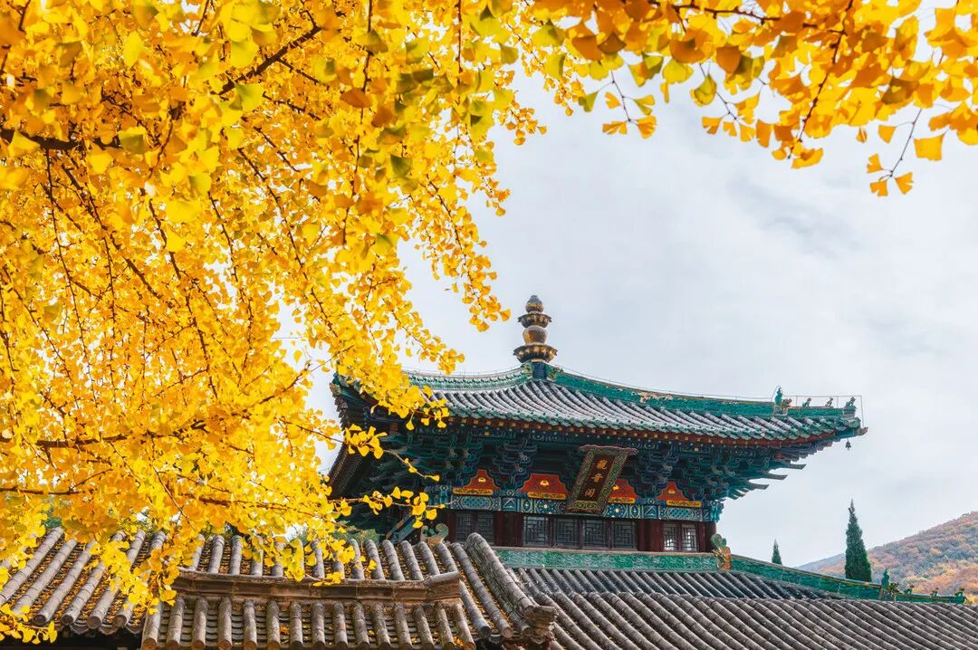 来打卡！别错过这些赏秋好去处！-小辉娱乐网