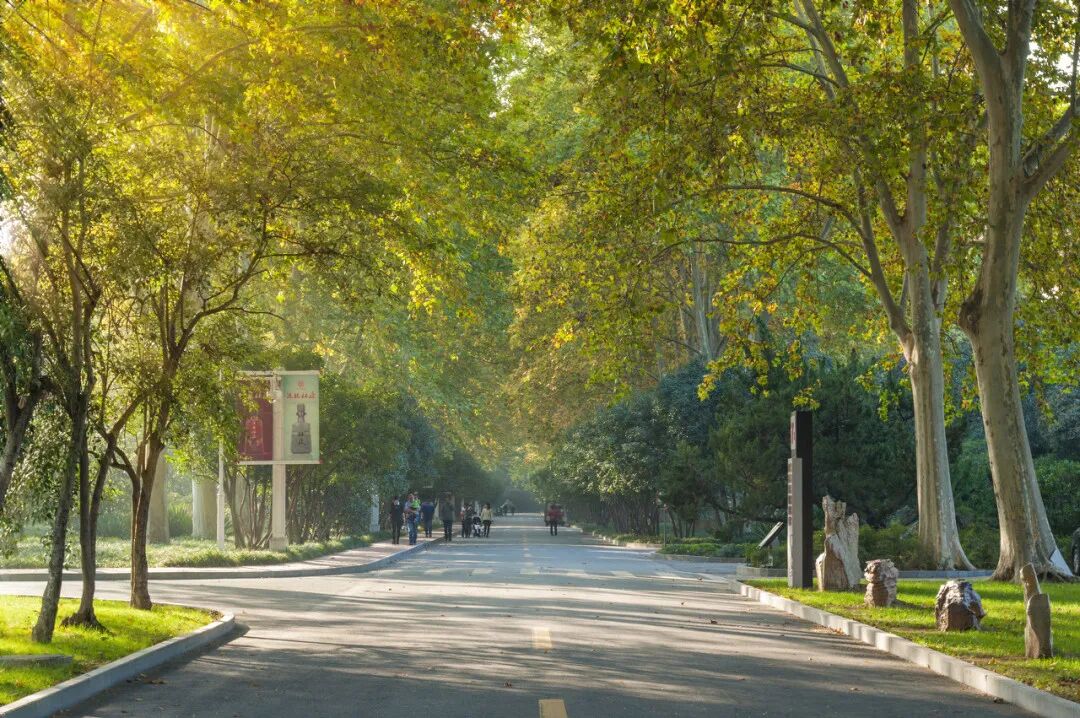 来打卡！别错过这些赏秋好去处！-小辉娱乐网