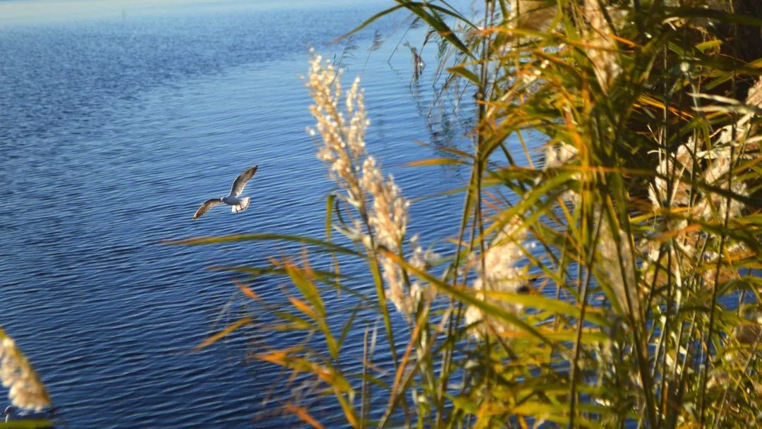 来打卡！别错过这些赏秋好去处！-小辉娱乐网