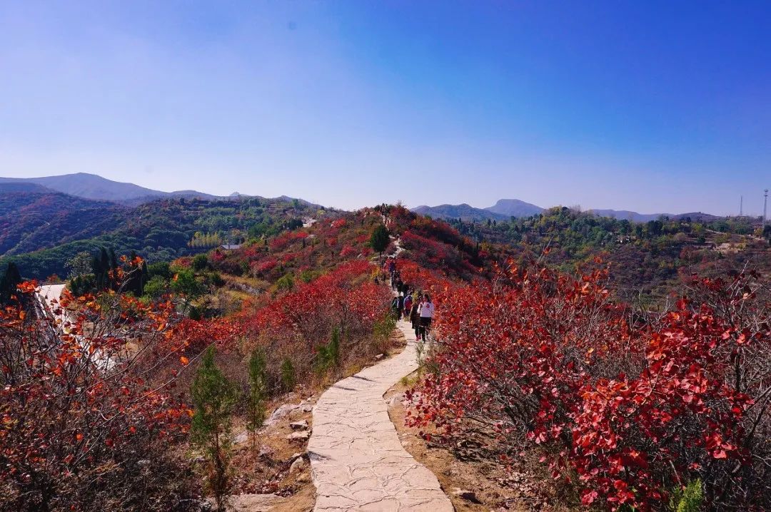 来打卡！别错过这些赏秋好去处！-小辉娱乐网