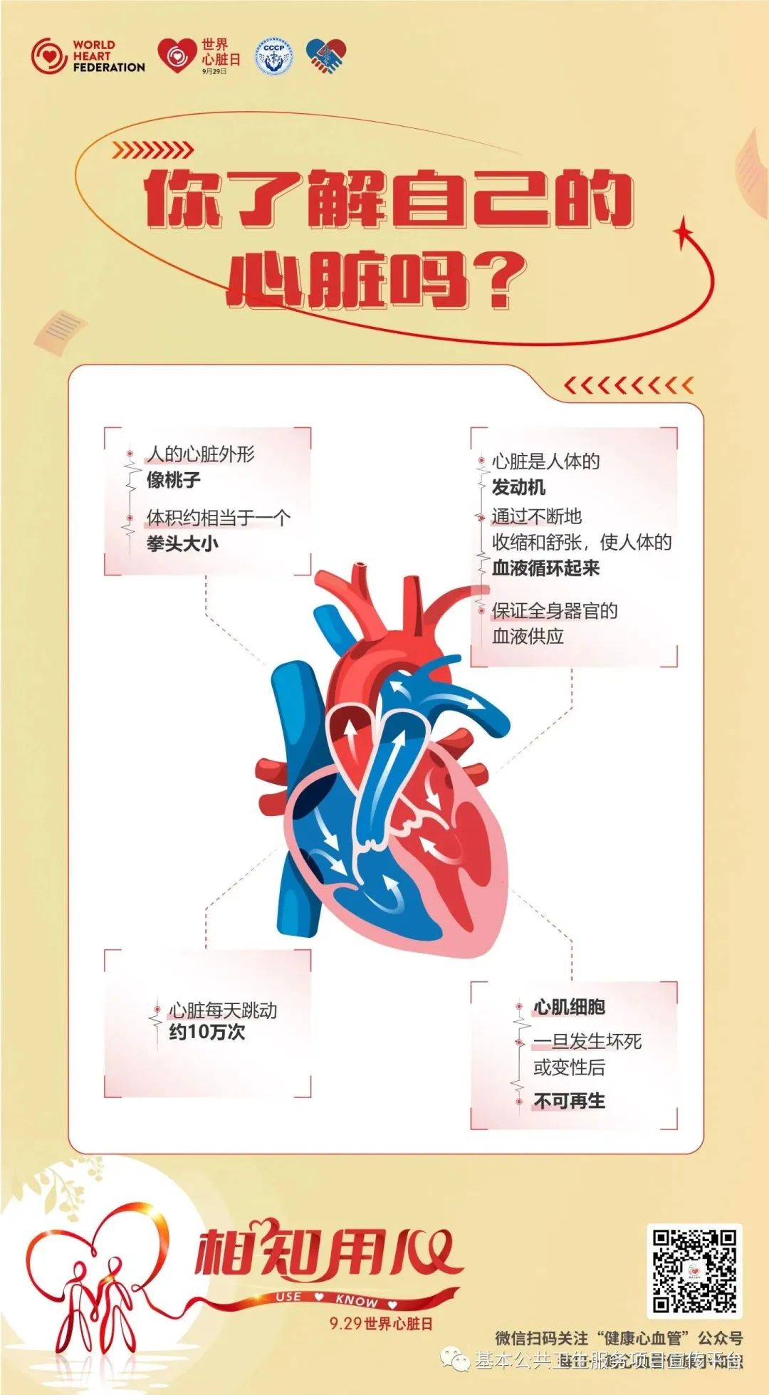健康科普丨关注心脏健康【2023年卫生健康宣传日】世界心脏日——相知用心！守护健康，从“心”做起！这些“心”事您要知道！-小辉娱乐网