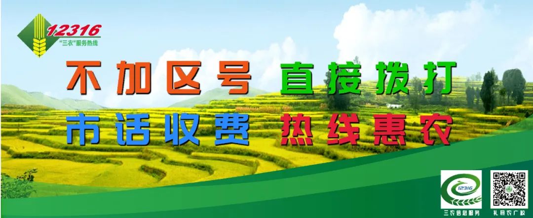 陈军主持召开县委理论学习中心组学习暨县四大班子联席会议