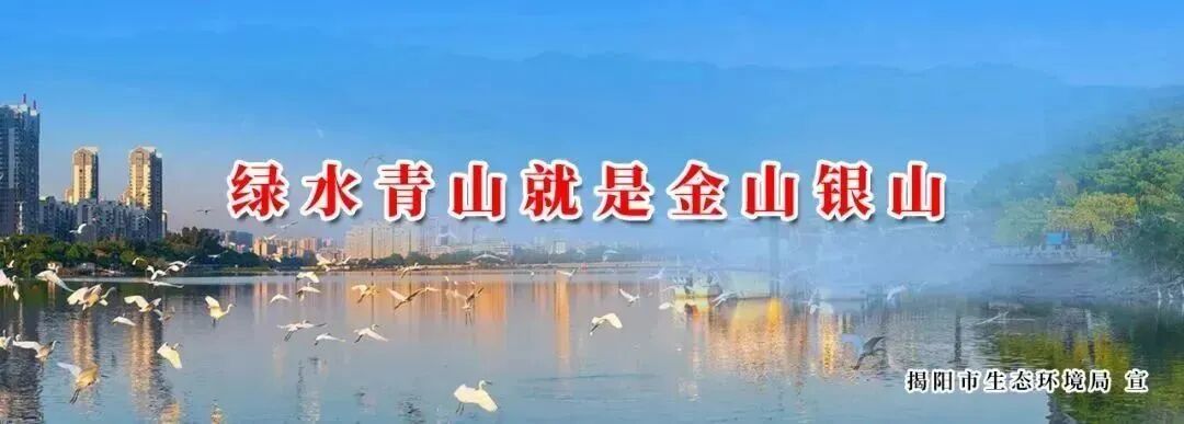 兴·揭阳 | 武状元林德镛-小辉娱乐网