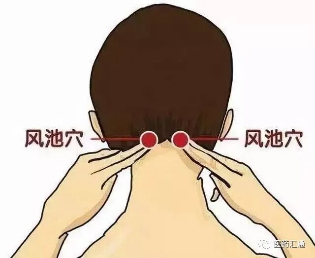 主治:脑血栓,脑震动,脑膜炎,健忘,癫痫,神经病,偏正头痛,失眠,眩晕