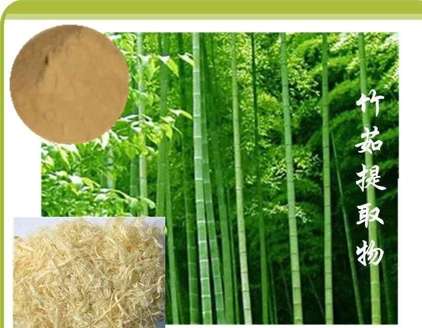 一把竹茹，3种用法，有清热化痰等5种功效-小辉娱乐网