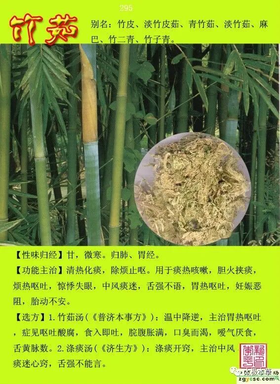 一把竹茹，3种用法，有清热化痰等5种功效-小辉娱乐网
