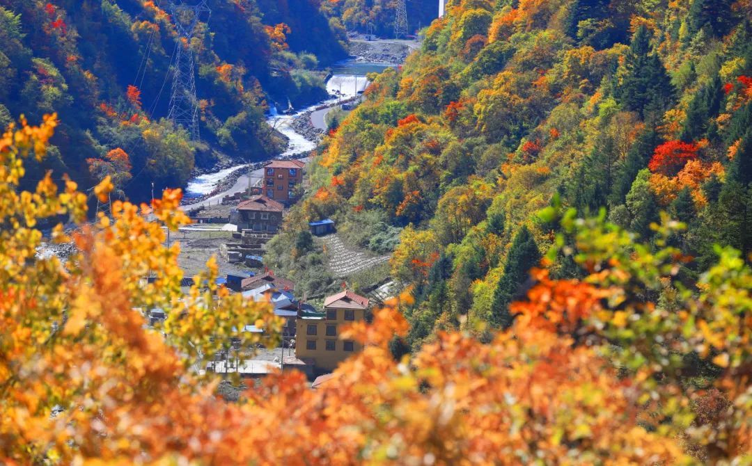 亮点大揭秘！喜迎文旅大会，前方黑水发来剧透→-小辉娱乐网