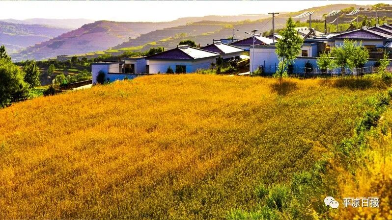 平凉美食界的“顶流”，都在这里了-小辉娱乐网