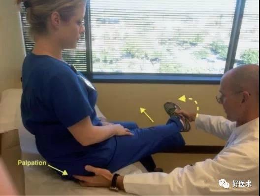 梨状肌综合征的解剖评估诊断及康复治疗