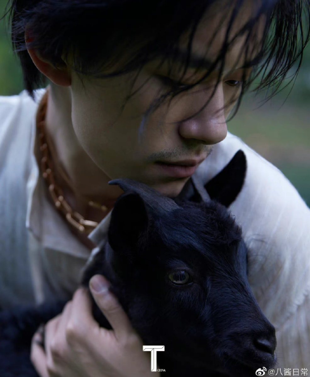 说他丑的,打脸不?-爱妻自媒体