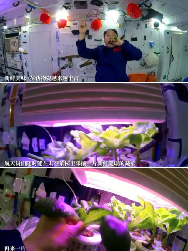 【关注】2024年国考报名人数已破百万… | 三分钟新闻早知道