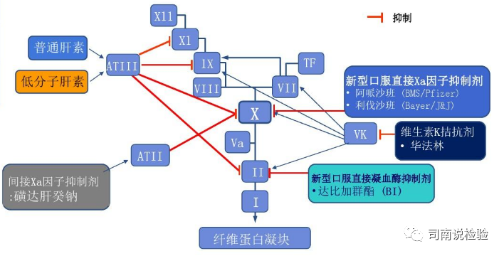 知识点170：新型口服抗凝药与anti-Ⅹa