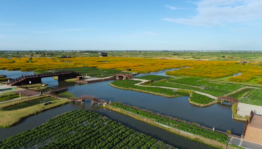 检察情，致初心！今天祝福祖国！-小辉娱乐网