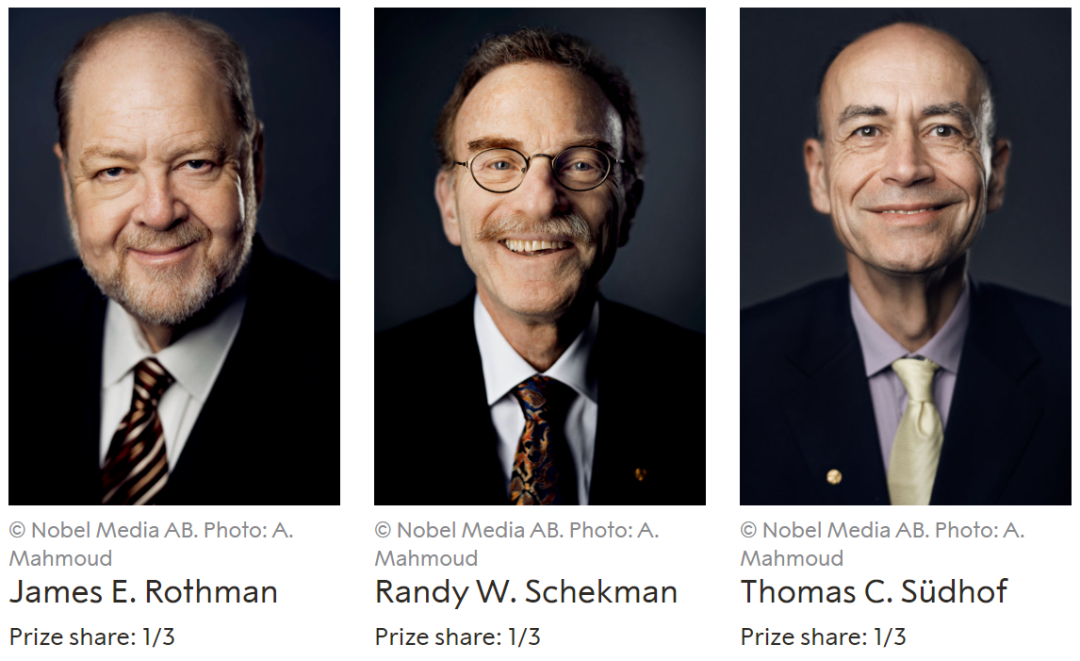 2023年诺贝尔生理学或医学奖揭晓，两位mRNA疫苗奠基人获奖-小辉娱乐网