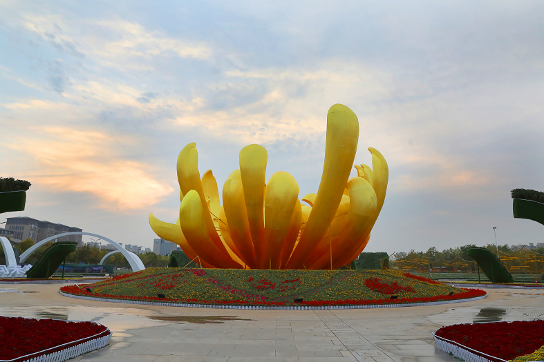 又到了赏菊时节！来开封，约吧-小辉娱乐网