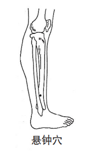 【针灸】这8个穴位针灸止痛有奇效，快学起来~-小辉娱乐网