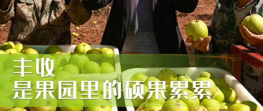 呈贡文庙今日祭孔-小辉娱乐网