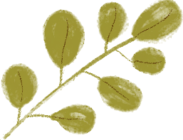 安徽疾控最新发布！-小辉娱乐网