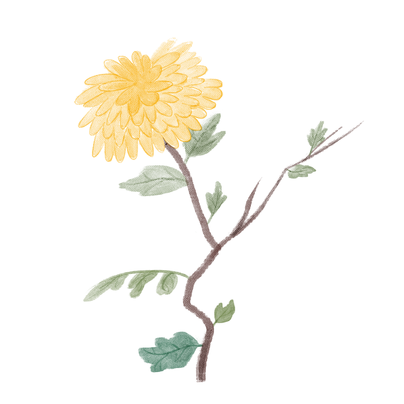 世界精神卫生日｜关注儿童心理健康-小辉娱乐网