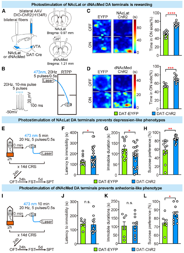 糖是享受人生之十：吃糖抗压抗抑郁-小辉娱乐网