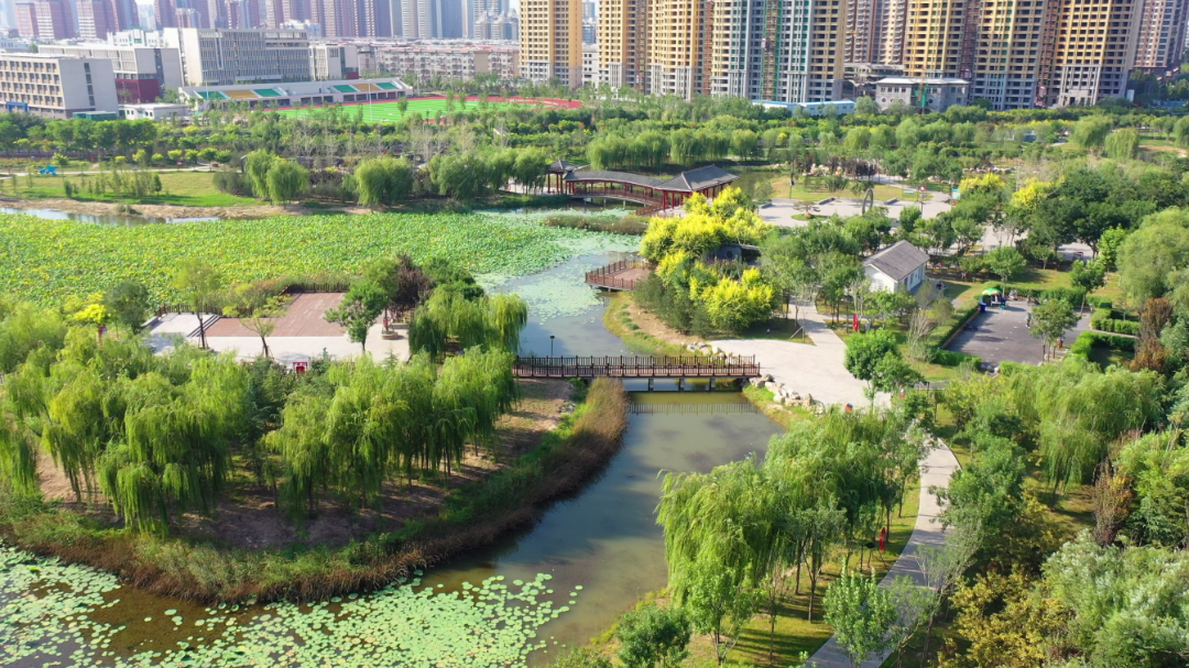 水系治理让百姓尽享绿色福祉-小辉娱乐网