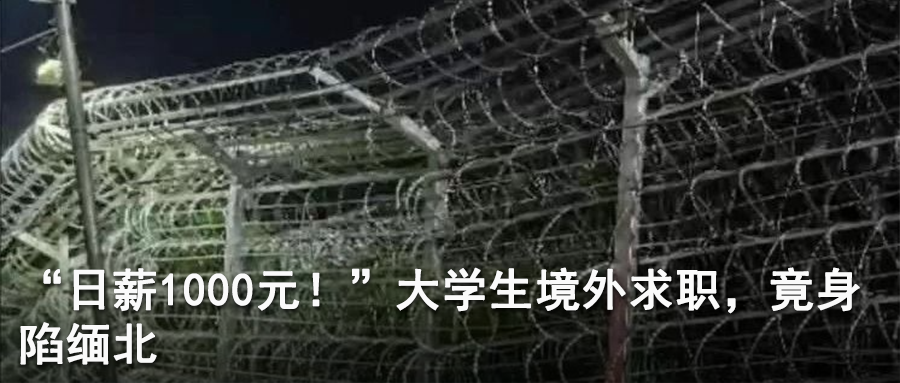 加沙超2000人死亡，美部署航母打击群-小辉娱乐网