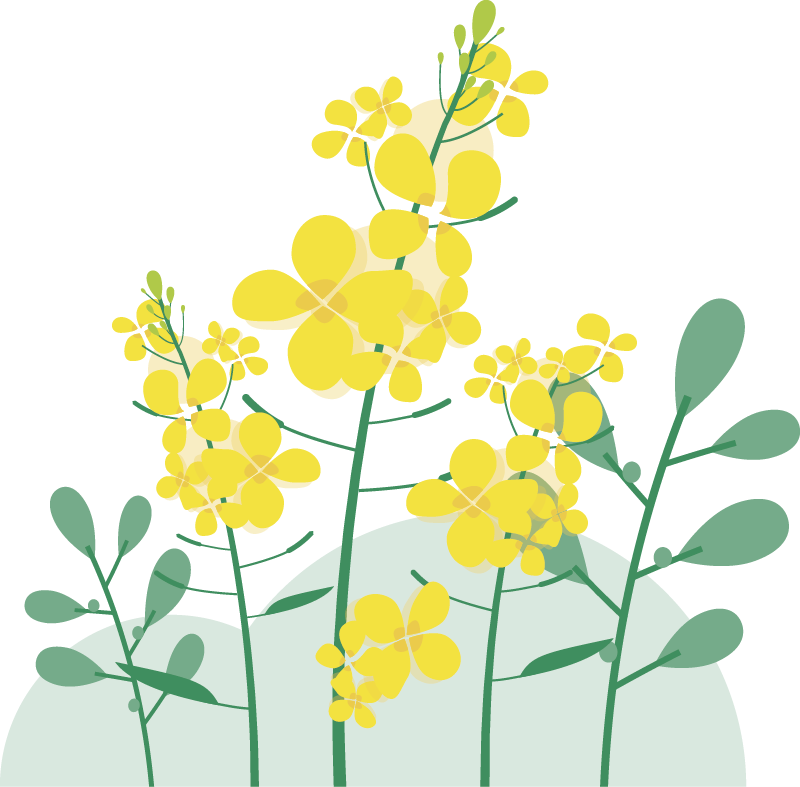 跨世纪快乐幼儿园“毕业萌娃”回家记-小辉娱乐网