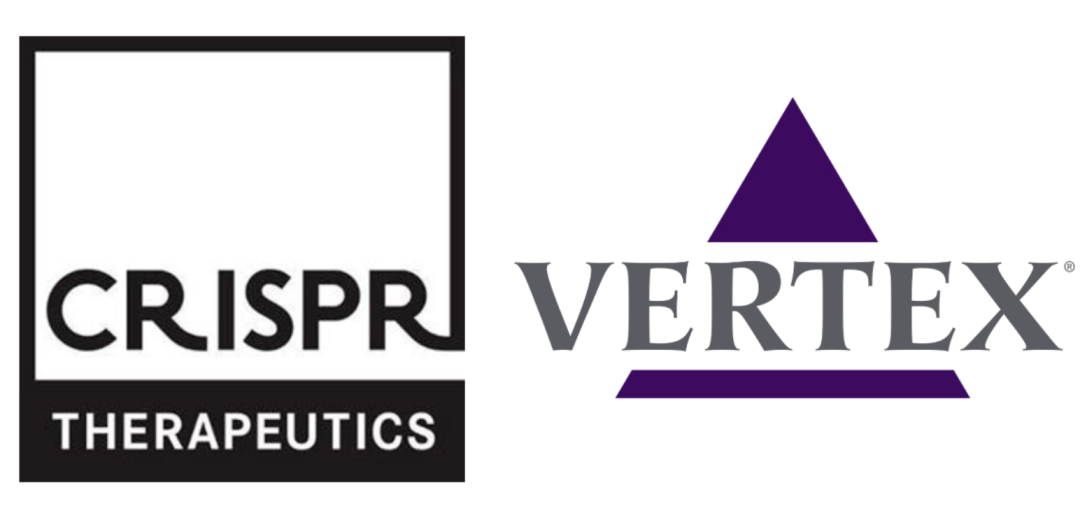 脱靶安全性成CRISPR疗法能否上市关键！与蓝鸟的审批仅差12天谁将是“首款”？-小辉娱乐网