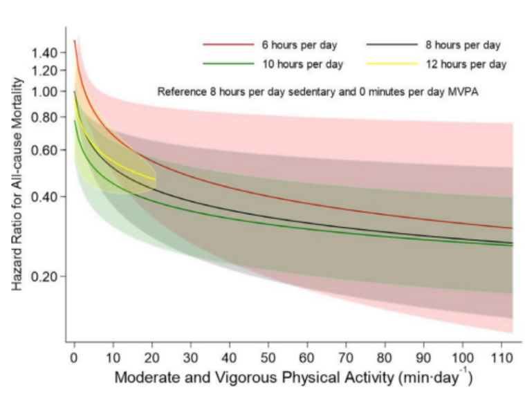 【健身宝典】每天只需22分钟即可抵消久坐带来的死亡风险，不来了解一下吗？-小辉娱乐网