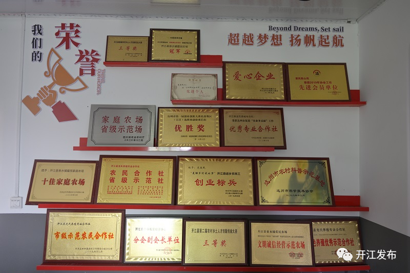 【掌上达州】点“绿”成“金”！开江爱民农场翻开“农文旅”融合发展新篇章-小辉娱乐网