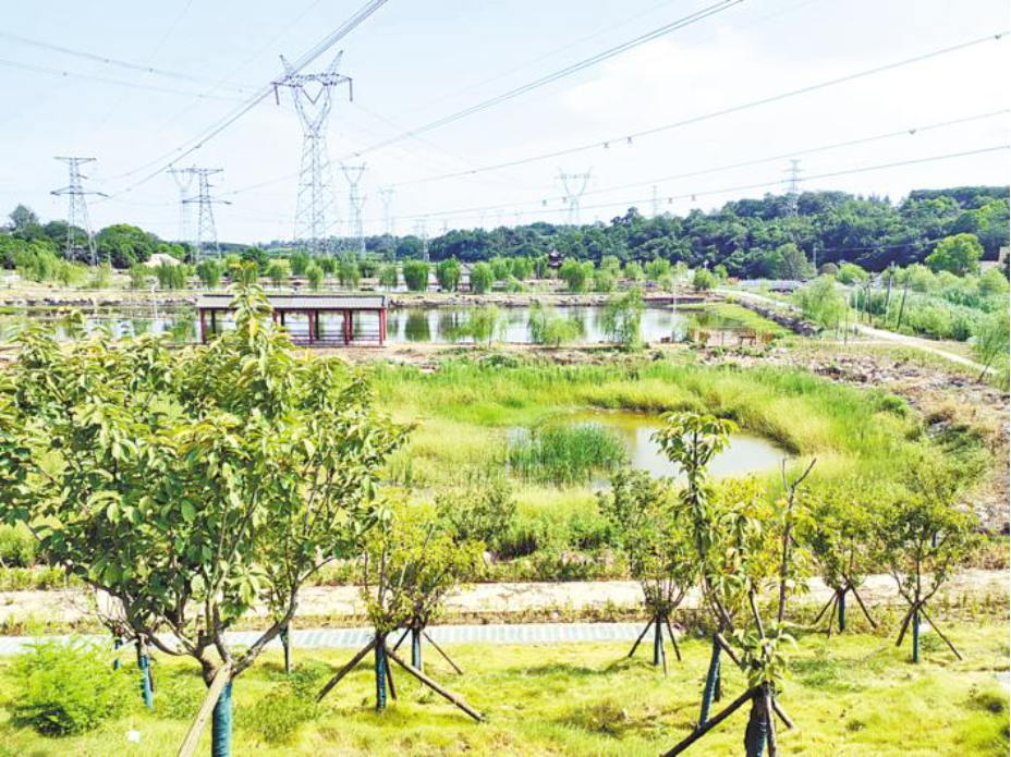 以“小河清”保障“大河净”，湖北探索小流域综合治理-小辉娱乐网