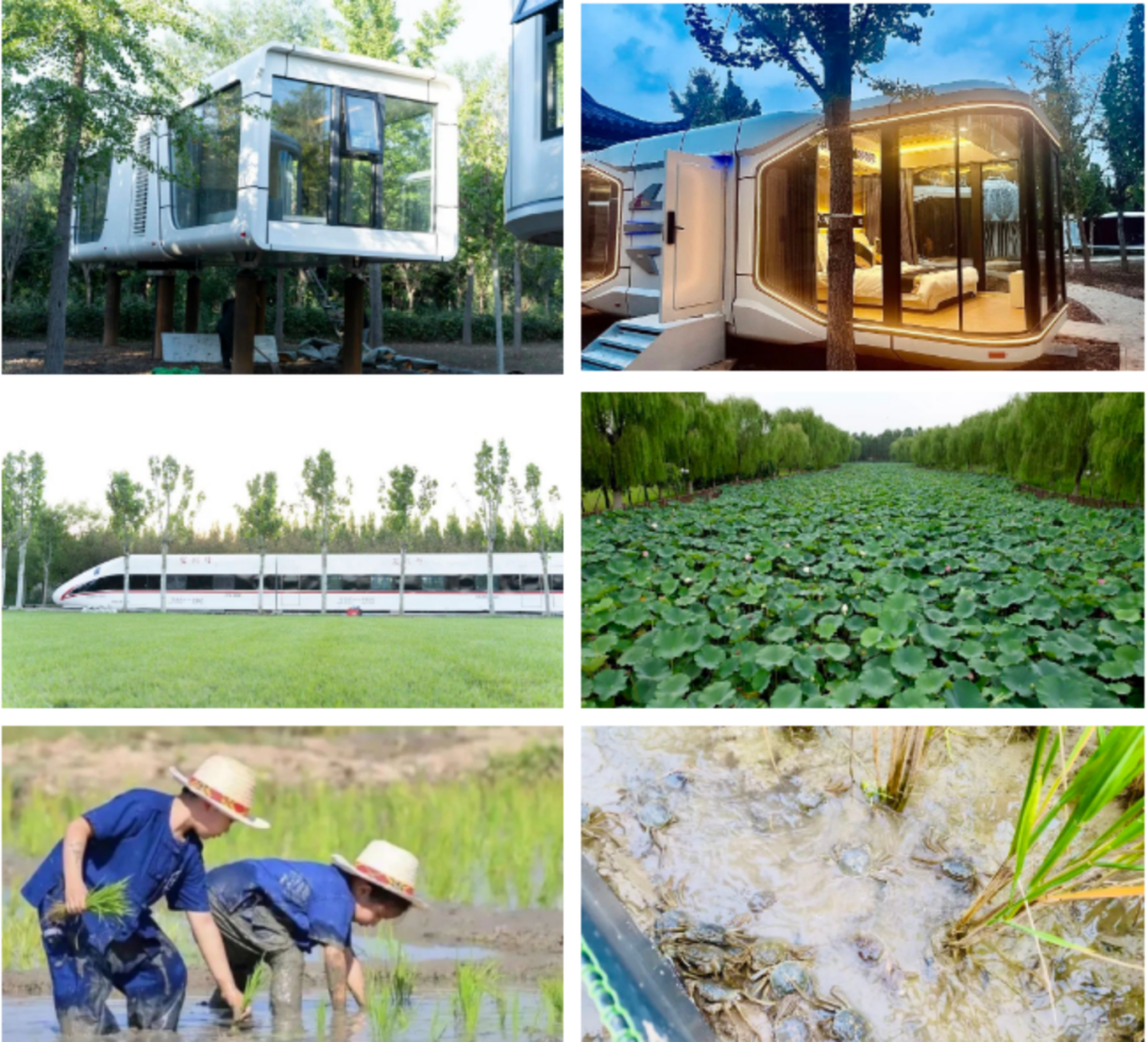 再添“国字号”！静海这地儿全市首家！-小辉娱乐网