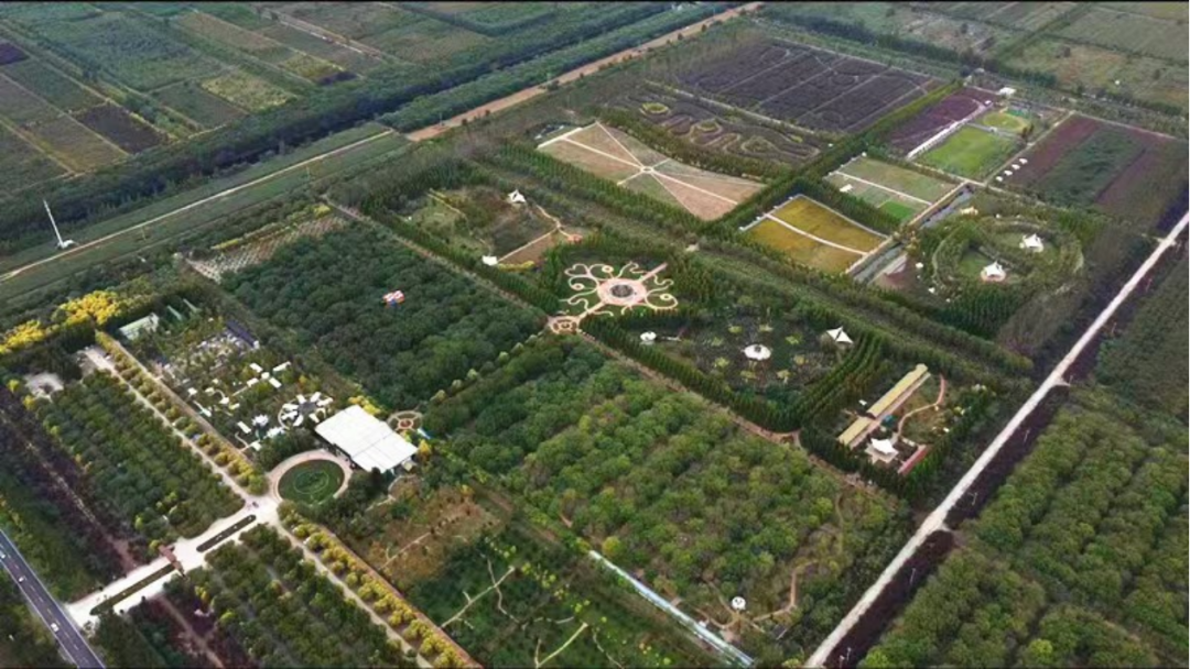 再添“国字号”！静海这地儿全市首家！-小辉娱乐网