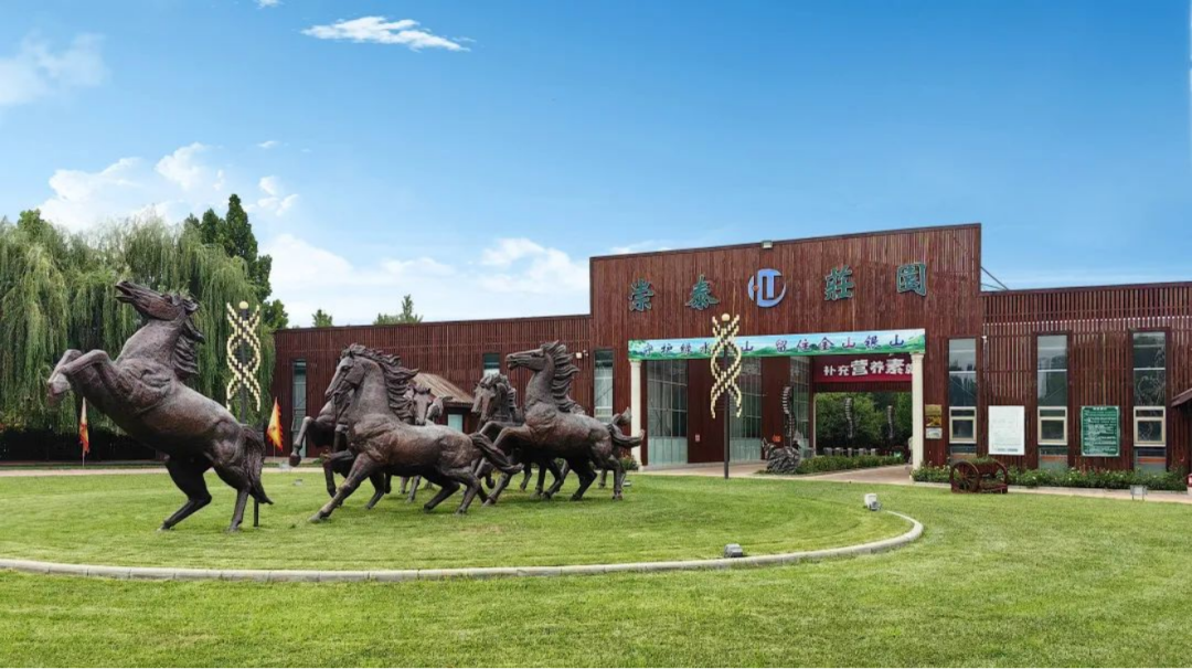 再添“国字号”！静海这地儿全市首家！-小辉娱乐网