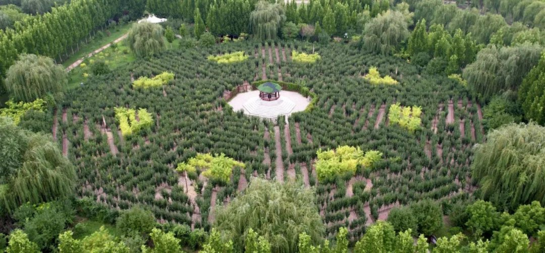 再添“国字号”！静海这地儿全市首家！-小辉娱乐网