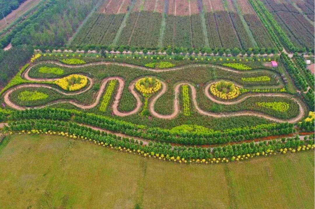 再添“国字号”！静海这地儿全市首家！-小辉娱乐网