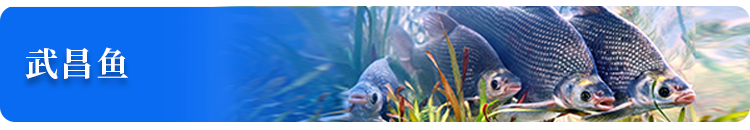 “双节”前夕，他们去了鄂州这些地方……-小辉娱乐网