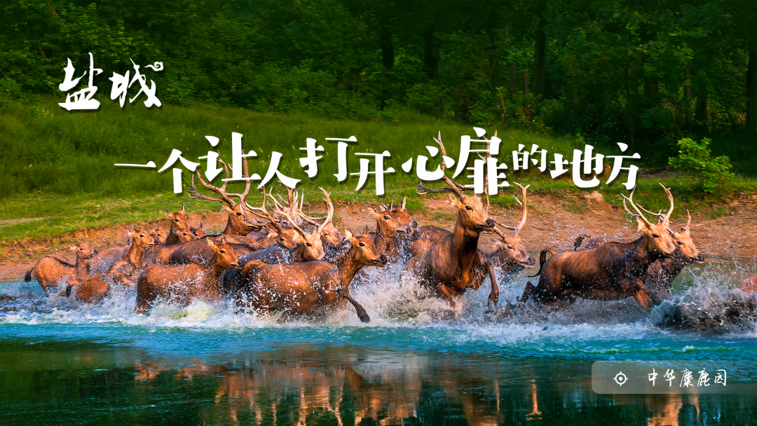 强化产业协同 推动更高质量一体化发展 周斌在上海学习考察、拜访企业-小辉娱乐网